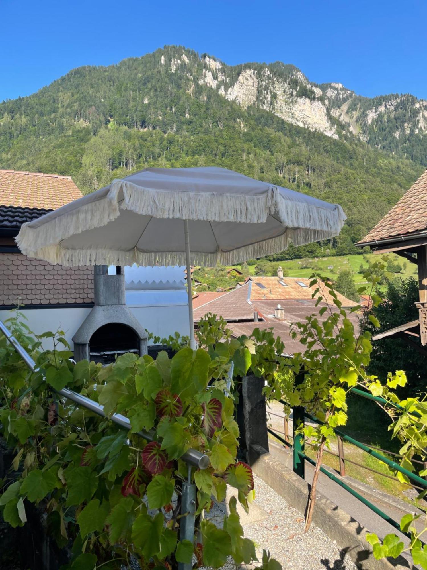 Studio In Alps By Apartments Capricorn Gsteigwiler Exterior photo